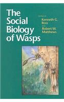 Social Biology of Wasps