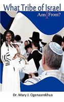 What Tribe of Israel Am I From?