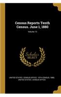 Census Reports Tenth Census. June 1, 1880; Volume 13