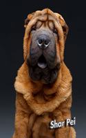 Shar Pei: 2020 Weekly Calendar 12 Months 107 pages 8.5 x 11 in. Planner Diary Organizer Agenda Appointment Half Spread Blank Pages