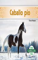 Caballo Pío (Pinto Horses)