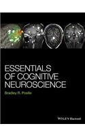 Essentials of Cognitive Neuroscience