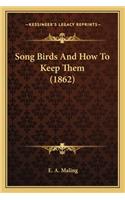 Song Birds and How to Keep Them (1862)