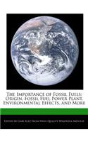 The Importance of Fossil Fuels