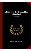 A History of the Criminal Law of England; Volume 3