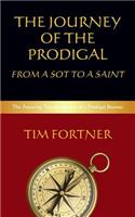 The Journey of the Prodigal: From a Sot to a Saint: The Amazing Transformation of a Prodigal boomer(English)