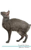 Cornish Rex Affirmations Workbook Cornish Rex Presents