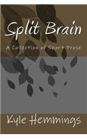 Split Brain