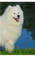 Samoyed: Artified Pets Dog Journal/Notebook/Diary With Wraparound Image Cover