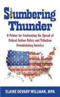 Slumbering Thunder: A Primer for Confronting the Spread of Federal Indian Policy and Tribalism Overwhelming America(English)