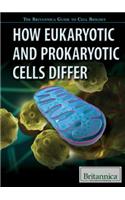 How Eukaryotic and Prokaryotic Cells Differ