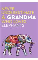 Never Underestimate a Grandma who Loves Elephants