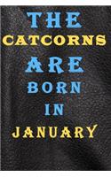 The Catcorns Are Born in January