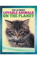 Top 20 Most Lovable Animals On The Planet: (English)