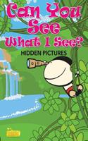 Can You See What I See? -- Hidden Pictures