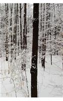 2019 Weekly Planner Winter Season Forest 134 Pages