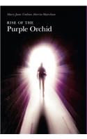 Rise of the Purple Orchid