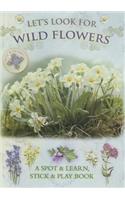 Let's Look for Wild Flowers