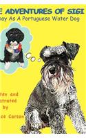 The Adventures of Sigi-A Day as a Portuguese Water Dog