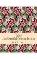 Color! Just Beautiful Coloring Designs