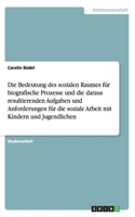 Bedeutung des sozialen Raumes für biografische Prozesse und die daraus resultierenden Aufgaben und Anforderungen für die soziale Arbeit mit Kindern und Jugendlichen