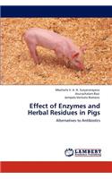 Effect of Enzymes and Herbal Residues in Pigs