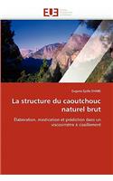 La Structure Du Caoutchouc Naturel Brut