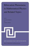 Bifurcation Phenomena in Mathematical Physics and Related Topics