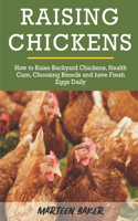 Raising Chickens
