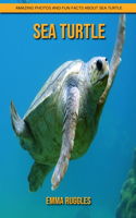 Sea Turtle: Amazing Photos and Fun Facts about Sea Turtle
