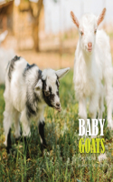 Baby Goats Calendar 2021: 16 Month Calendar