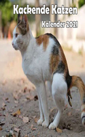 Kackende Katzen Kalender 2021