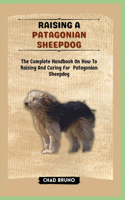 Raising a Patagonian Sheepdog