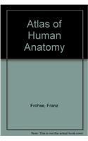 Atlas of Human Anatomy