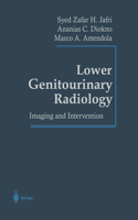 Lower Genitourinary Radiology