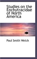 Studies on the Enchytracidae of North America