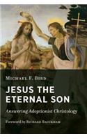 Jesus the Eternal Son: Answering Adoptionist Christology(English)