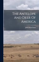 Antelope And Deer Of America