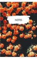 Notes