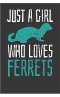 Ferret Notebook