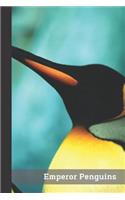 Emperor Penguins