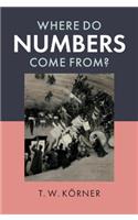 Where Do Numbers Come From?