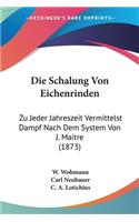 Schalung Von Eichenrinden