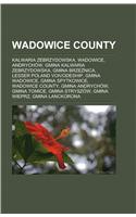 Wadowice County: Kalwaria Zebrzydowska, Wadowice, Andrychow, Gmina Kalwaria Zebrzydowska, Gmina Brze Nica, Lesser Poland Voivodeship(English)