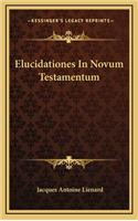 Elucidationes in Novum Testamentum