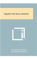 Squire For King Arthur