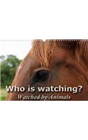 Who is Watching? - Watched by Animals! 2017: Sometimes You Don't Know Who is Watching Whom!(Calvendo Animals)
