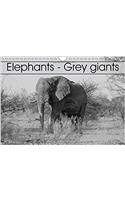 Elephants - Grey Giants 2017