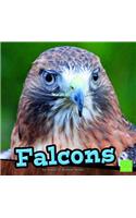 Falcons