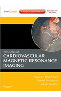 Principles of Cardiovascular Magnetic Resonance Imaging